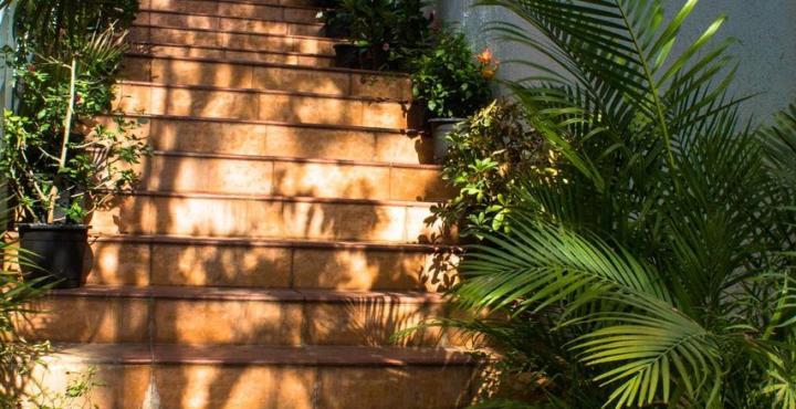 Hotel Phoenix Koregaon Park Pune Eksteriør bilde